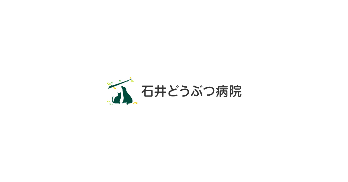 石井どうぶつ病院 当院で働いている獣医師と看板猫のご紹介